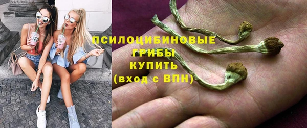 сатива Весьегонск