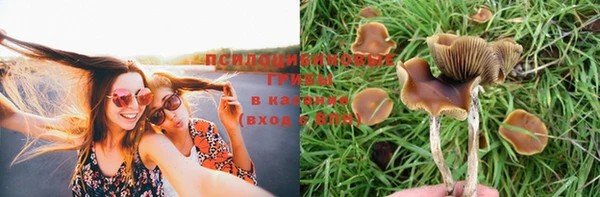 кокаин колумбия Богородицк
