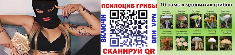 как найти закладки  Волгореченск  Галлюциногенные грибы GOLDEN TEACHER 